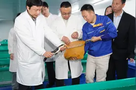 找回儿时鱼鲜味，上海教授破解土腥味难题图片