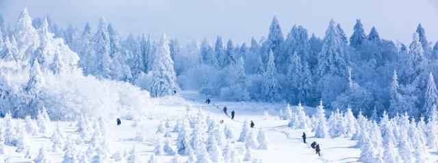 为什么是长春？