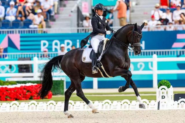 上海国际马文化周金秋启幕：邂逅马文化跨界，解锁消费新体验