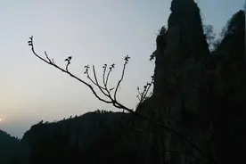 诚信（随笔）图片
