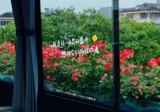 杭州，你又会了！