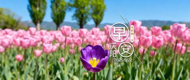 早安庆阳丨出行指南来了！国庆中秋假期这些路段易拥堵