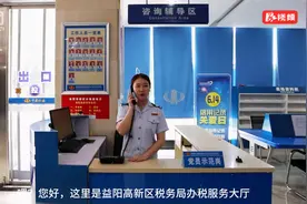 视频｜益阳高新：电子税务局新办纳税人税务登记操作指南图片