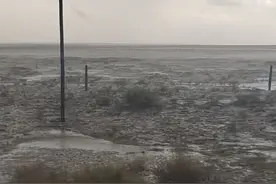 内蒙古鄂尔多斯突降冰雹，农户：持续下了半小时，300多亩农作物受灾图片