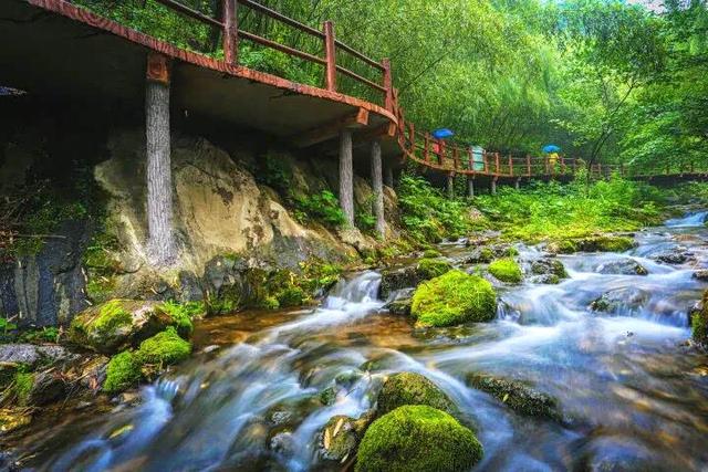 免票！河南多家景区推出“三八妇女节”福利→