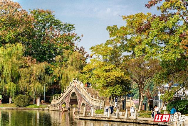 岁暖时刻丨暖冬长沙图鉴：烈士公园，藏不住的诗意光景