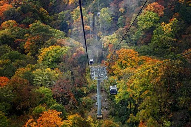追逐秋色三千里：从北疆到徽州