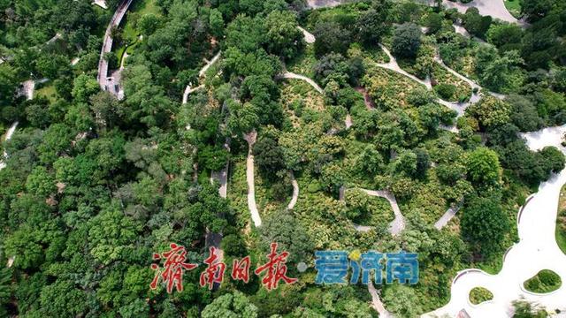一年四季 泉在济南丨初秋泉城公园绿意未减色更浓