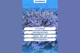 稳中求进每月看丨春光作序催奋进——4月全国各地经济社会发展观察图片