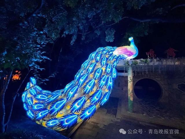 第一份青岛浪漫已备好！大学新生专属灯会免票邀约正在发出……