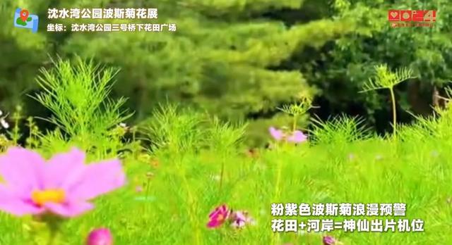 “花花世界”~沈阳，咔咔出片！