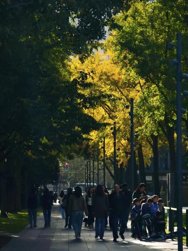 美到犯规！藏在静安深处的秋冬打卡地图上线丨静宝聊天室