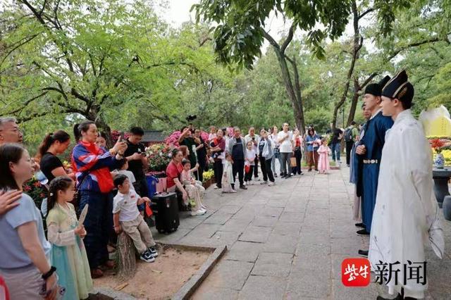 连云港孔望山菊花展启幕 沉浸式游园打造秋日盛宴