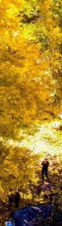 洛阳这个宝藏去处，秋天必打卡！