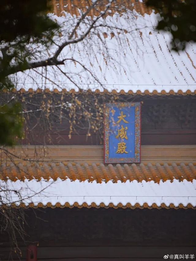 金陵飞雪讯，静待秦淮妆