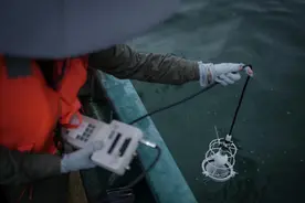 海洋环境保护法修订草案将三审：拟加强海洋生物多样性保护和海洋垃圾污染防治图片