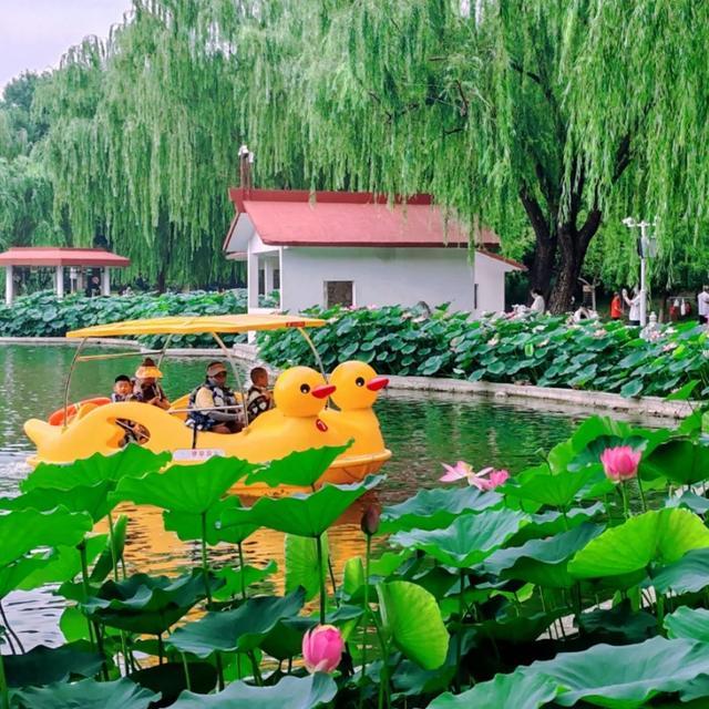 惊喜连连！北京夏天玩法上新！（1）