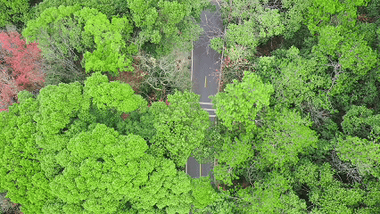 欢乐跑“520赛道”！环石燕湖一周，每步都是风景→