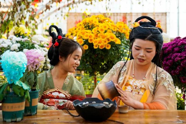 图说定西 | 深秋和菊花的浪漫邂逅