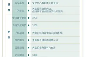 2025年，黄金牛市的真正对手是谁？|2025年投资市场展望①图片