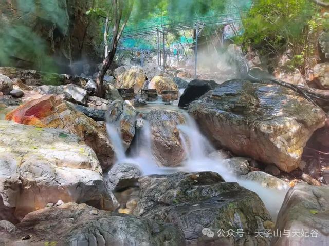 山洪褪去，澄澈归来，天子山景区已开园，快来这里进行一次心灵与自然的洗礼吧！