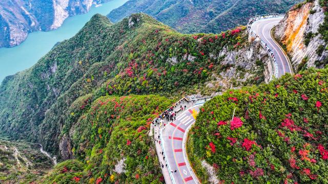 红叶扮靓长江巫峡