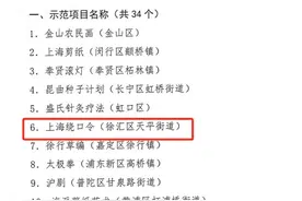 上海市“非遗在社区”示范名单公布，徐汇区这四个项目（点位）入选图片