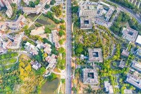 跻身超大城市，东莞为什么能？图片