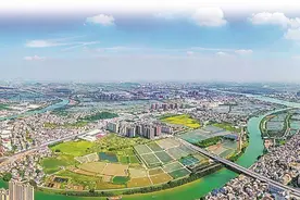 中山黄圃：产业强镇书写城乡融合发展“答卷”图片