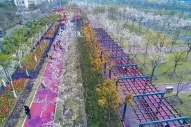 沪上宝藏跑步路线来了！这份交通攻略请查收~图片