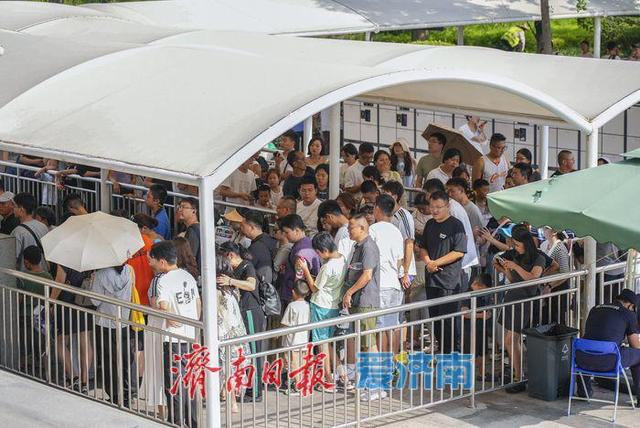 山东博物馆暑期客流攀升，再现"文化春运"