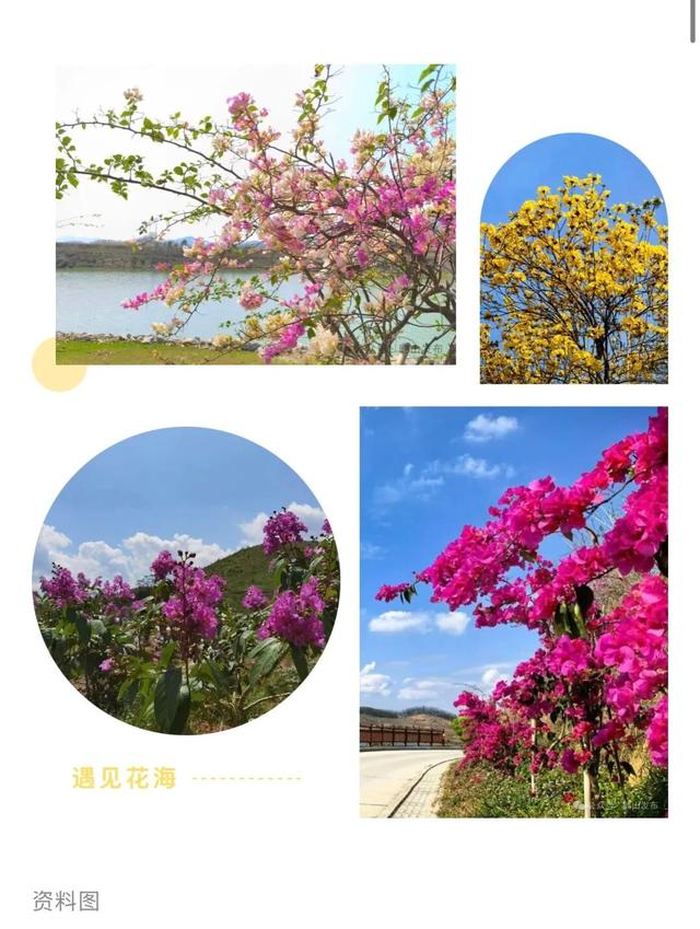 跟着赛事游鹤山！动起来！用运动方式打开鹤山～