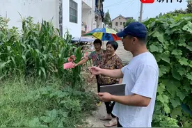 苏州太平街道旺巷村：严厉打击毁绿种菜行为，用心做好美丽乡村建设图片