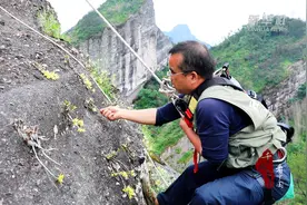 千城百县看中国｜湖南新宁：崀山铁皮石斛花开艳丹霞图片