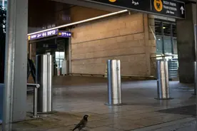 以色列本古里安机场暂停航班起降图片