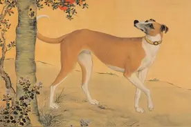 老北京养犬管犬那些事图片