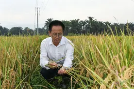 在非洲，播撒希望的种子！他们感动中国，也感动世界！图片