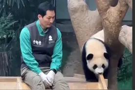 “福宝”把“宋宝”的魂都带走了，泪奔后的落寞……图片