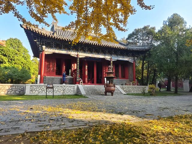 图集丨金秋岱庙美出圈 千年古银杏 “披金” 引客打卡