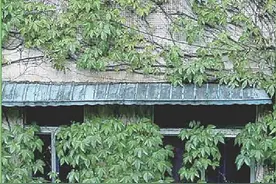 “没房产证、不通水电，这房谁买？”图片
