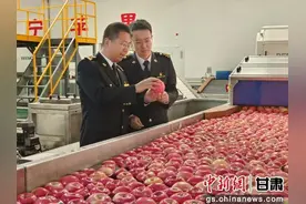 甘肃：红苹果映红“好日子”图片