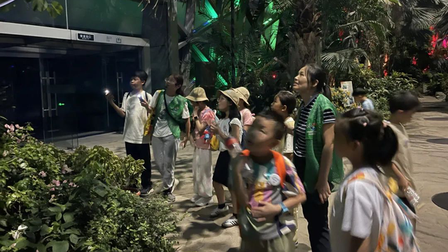上海夏夜专属福利！这些地方能邂逅萤火虫与“夜精灵”的狂欢