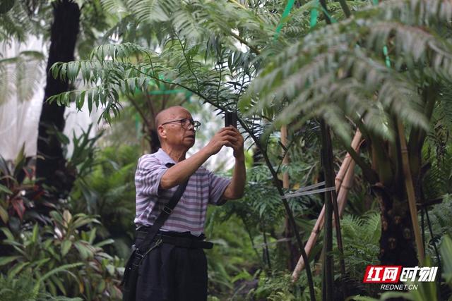 免费科普盛宴点燃暑期 省植物园邀你探秘奇趣自然
