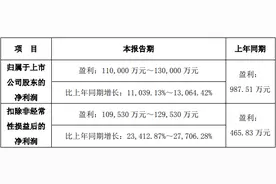 十倍大牛股正丹股份业绩预增超110倍，这几大风险点要注意图片
