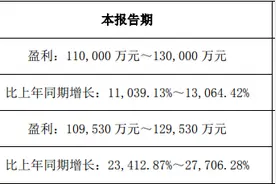 十倍大牛股正丹股份业绩预增超110倍，这几大风险点要注意图片