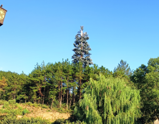 电普10年 山乡巨变：云端筑梦 天柱山的数字蝶变之路