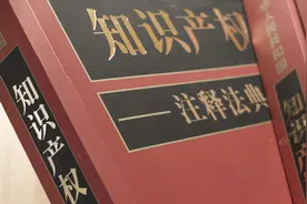 高质量发展看中国丨坚决惩处各种知识产权侵权违法行为  国家知识产权局将采取这些举措图片