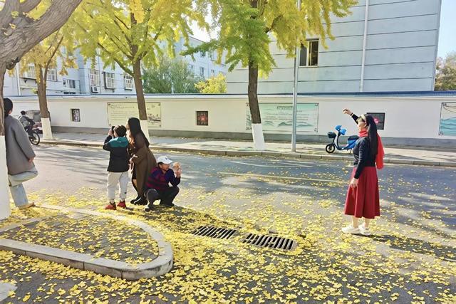 秋日“落叶缓扫”藏诗意，淄博人的周末很美妙