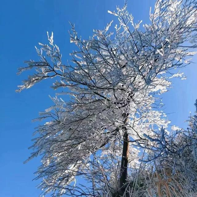 武汉的风有多大？我是被“推”来上班的！