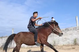 三都：一场山顶赛道的赛马比赛图片